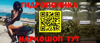 прущие крисы Нарткала