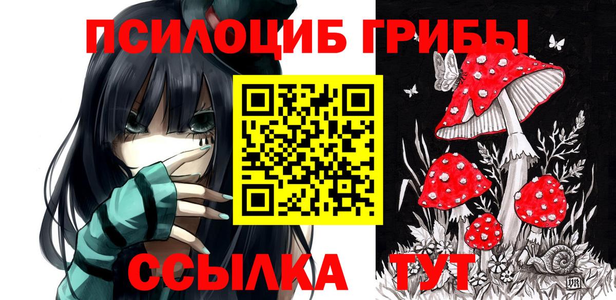 купить наркотик  Вход с VPN  Великий Новгород  Галлюциногенные грибы мицелий 